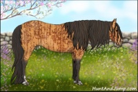 Horse Color:Bay Sabino Rabicano  and Buckskin Sabino Rabicano 
