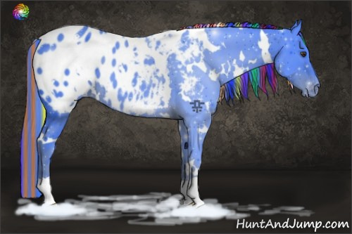 Horse Color:Painted Watercolor White Spotted Liver Chestnut Appaloosa 