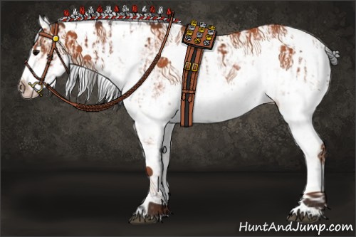 Horse Color:Bay Sabino Rabicano and Bay Sabino Rabicano