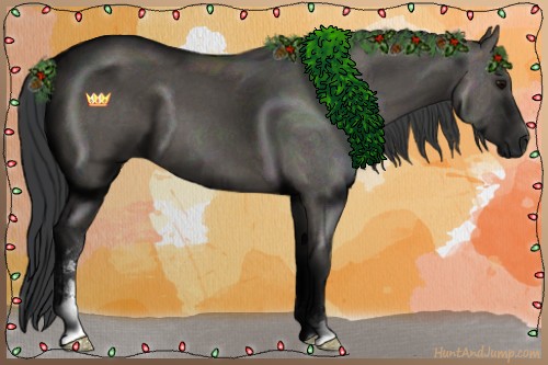 Horse Color:Grullo Sabino 