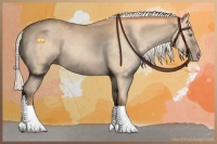 Horse Color:Silver Amber Champagne