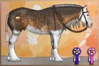 Horse Color:Silver Smoky Black Sabino Splash 