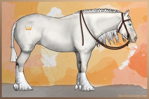 Horse Color:Silver Perlino Roan Dun Sabino 