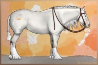 Horse Color:Silver Perlino Roan Dun Sabino 