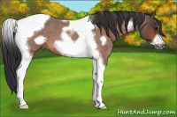 Horse Color:Bay Roan Tobiano Frame