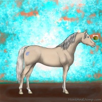 Horse Color:Cremello Tobiano 