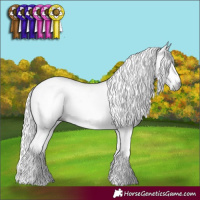 Horse Color:Gray White Spotted Liver Chestnut 