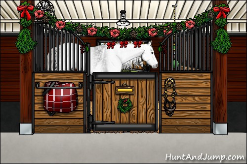Horse Color:Gray White Spotted Silver Brown