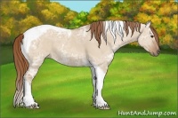 Horse Color:Red Dun Ice Tobiano 