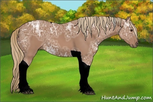 Horse Color:Chestnut Ice Tobiano 