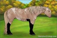 Horse Color:Chestnut Ice Tobiano 