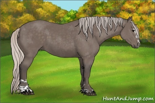 Horse Color:Silver Black Sabino