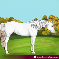 Horse Color:Red Roan Frame Blanket 