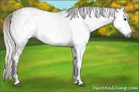 Horse Color:Gray Silver Bay Ice Sabino Frame 