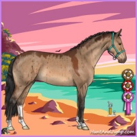 Horse Color:Brown Dun Brindle