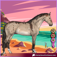 Horse Color:Brown Dun Brindle 