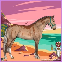 Horse Color:Silver Brown Dun Brindle
