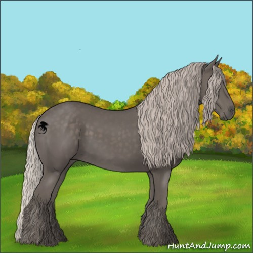 Horse Color:Silver Black 