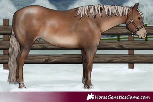 Horse Color:Gray Silver Black Pearl Tobiano 