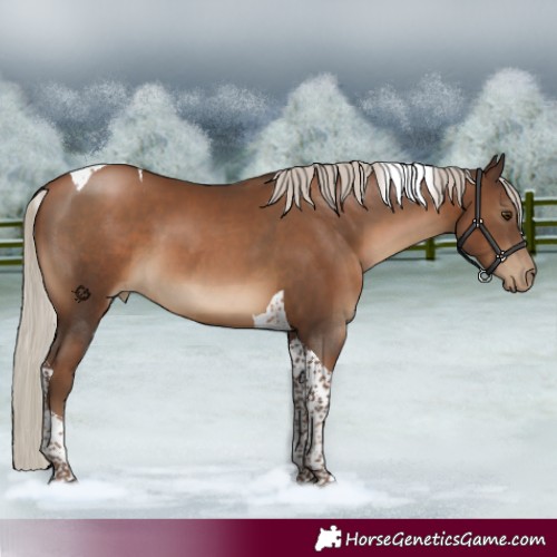 Horse Color:Gray Silver Black Pearl Tobiano 