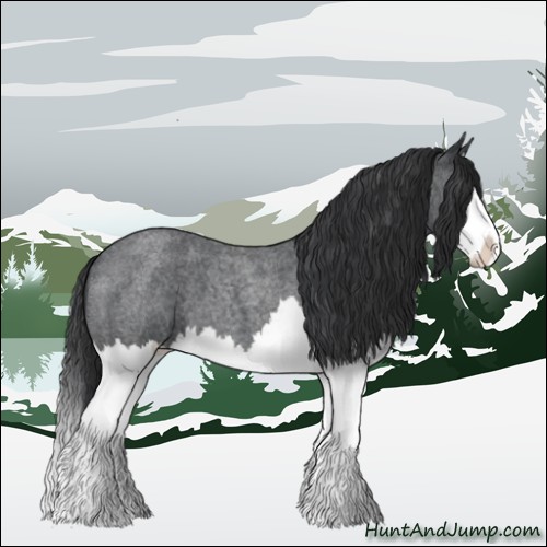 Horse Color:Blue Roan Splash 