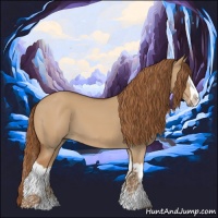 Horse Color:Red Dun Splash 