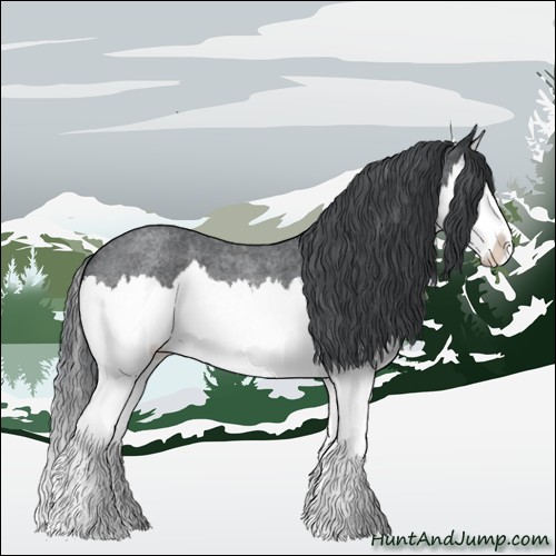 Horse Color:Blue Chinchilla Roan Splash 