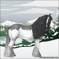 Horse Color:Blue Chinchilla Roan Splash 