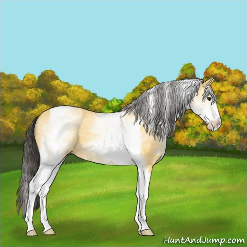 Horse Color:White Spotted Buckskin Tobiano 