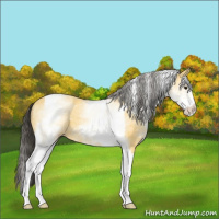Horse Color:White Spotted Buckskin Tobiano 