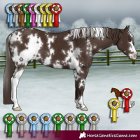 Horse Color:White Spotted Liver Chestnut Sabino 