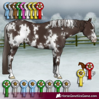 Horse Color:White Spotted Liver Chestnut Sabino