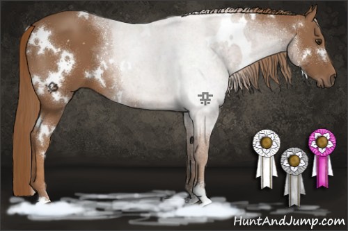 Horse Color:White Spotted Chestnut Sabino 