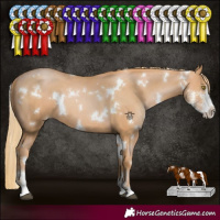 Horse Color:White Spotted Chestnut Pearl Sabino 
