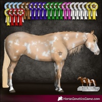 Horse Color:White Spotted Chestnut Pearl Sabino