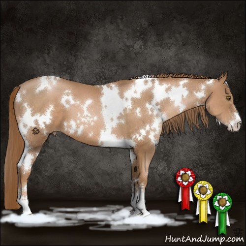 Horse Color:White Spotted Liver Chestnut Pearl Sabino 