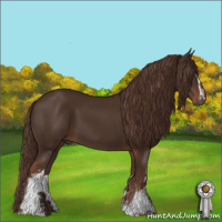 Horse Color:White Spotted Liver Chestnut Sabino 