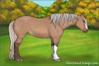 Horse Color:Silver Brown Dun 