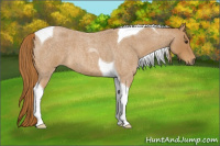 Horse Color:Red Roan Tobiano 