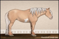 Horse Color:Silver Amber Champagne Frame 