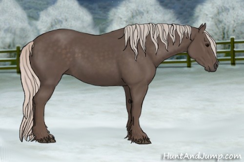 Horse Color:Silver Black 