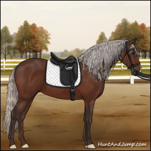 Horse Color:Silver Bay 