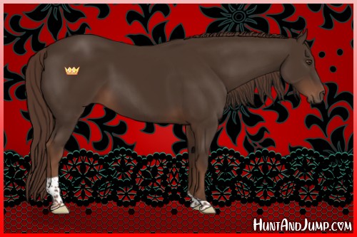 Horse Color:Liver Chestnut Tobiano 