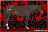 Horse Color:Liver Chestnut Tobiano 