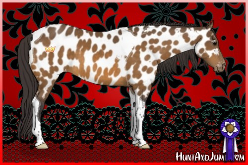 Horse Color:Buckskin Tobiano Near Leopard
