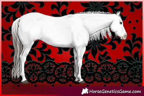 Horse Color:Liver Chestnut Tobiano Leopard