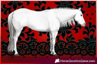 Horse Color:Liver Chestnut Tobiano Leopard 