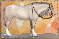 Horse Color:Chocolate Palomino Roan Pearl