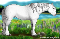 Horse Color:Gray White Spotted Liver Chestnut