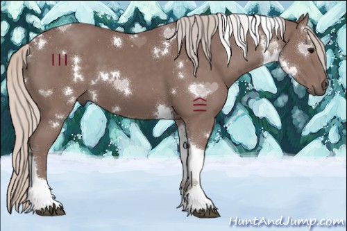 Horse Color:White Spotted Chocolate Silver Black Tobiano 